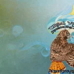 4_Website_Tribal_Vision_Restorative_Festival_Healing_Love_All_the_Good-2