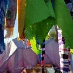 Tribal_Vision_2017-065140